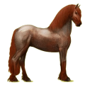 Reitpferd Friese Rappe