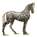 Reitpferd Hellgrau
