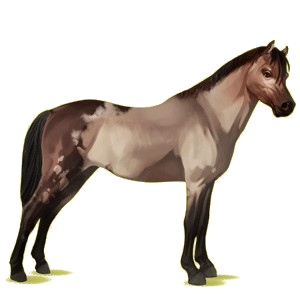 Pony Deutsches Reitpony Rotbrauner