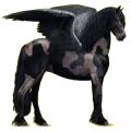Pegasus-Reitpferd Rappe