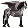 Pegasus-Reitpferd Friese Rappe