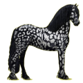 Reitpferd Friese Rappe