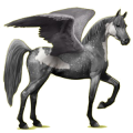 Pegasus-Reitpferd Araber Roan