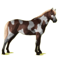 Pegasus-Pony Dunkelfuchs