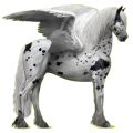 Pegasus-Reitpferd Friese Rappe
