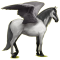 Pegasus-Reitpferd Andalusier Apfelschimmel