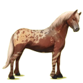Pony Quarter Pony Fuchs mit Tobiano-Scheckung