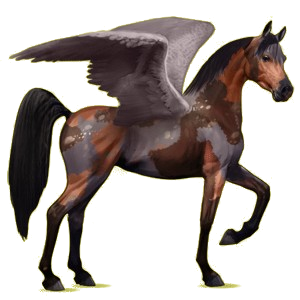 Pegasus-Reitpferd Araber Hellgrau