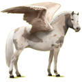 Pegasus-Pony Norweger Braunfalben