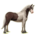 Pony Quarter Pony Cremello
