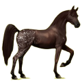 Reitpferd Rotbrauner