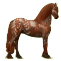 Pegasus-Reitpferd Friese Rappe