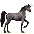 Einhorn-Reitpferd Fuchs