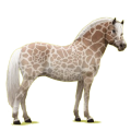 Pony Norweger Braunfalben