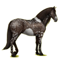 Pegasus-Reitpferd Andalusier Hellgrau