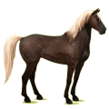 Reitpferd Mustang Dunkelfuchs