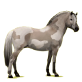 Pony Norweger Braunfalben