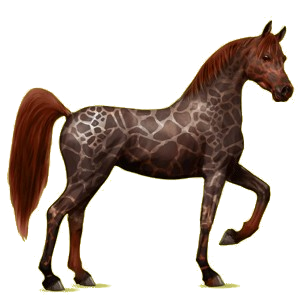 Pegasus-Reitpferd Araber Dunkelbrauner