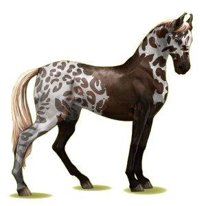 Pegasus-Reitpferd Marwari Apfelschimmel
