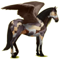 Pegasus-Reitpferd Berber Rotbrauner
