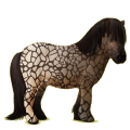 Pony Rotbrauner