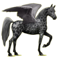Pegasus-Reitpferd Araber Forellenschimmel
