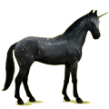 Einhorn-Reitpferd Trakehner Hellgrau