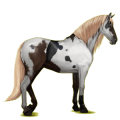 Reitpferd Lusitano Dunkelfuchs