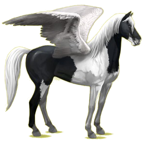 Pegasus-Reitpferd Mustang Dunkelbrauner