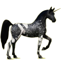 Einhorn-Reitpferd Araber Fuchs