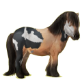 Pegasus-Pony Shetlandpony Falbe