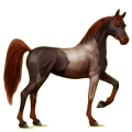Pegasus-Reitpferd Araber Fuchs
