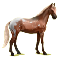 Reitpferd Oldenburger Strawberry Roan