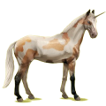 Einhorn-Reitpferd Falbe