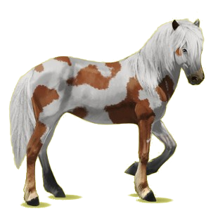 Reitpferd Isländer Fuchs