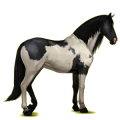 Reitpferd Paso Peruano Rotbrauner