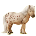 Pegasus-Pony Cremello