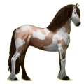 Reitpferd Friese Rappe