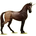 Einhorn-Reitpferd Marwari Dunkelfuchs