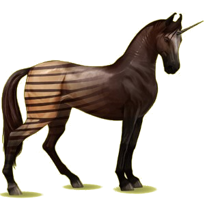 Einhorn-Reitpferd Marwari Dunkelfuchs