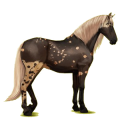 Reitpferd Lusitano Apfelschimmel