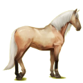 Reitpferd Hellgrau