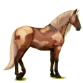 Reitpferd Andalusier Palomino