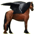 Pegasus-Reitpferd Friese Rappe
