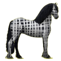 Reitpferd Friese Rappe
