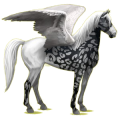 Pegasus-Reitpferd Mustang Cremello
