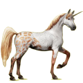 Einhorn-Reitpferd Araber Brauner