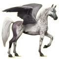 Pegasus-Reitpferd Araber Hellgrau