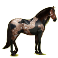 Reitpferd Rotbrauner