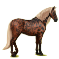 Reitpferd Andalusier Hellgrau